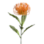 Orange Protea Floral Stem, 27"