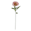 Red Protea Floral Stem, 27"