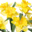 Yellow Daffodil Floral Bush, 18"