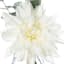 White Dahlia & Eucalyptus Floral Arrangement in Glass Vase, 10"