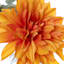 Orange Dahlia & Eucalyptus Floral Arrangement in Glass Vase, 10"
