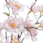 Pink Blossom Arrangement in Glass Vase, 10"