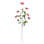 Small Red Daisy Floral Spray, 32"