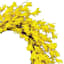 Yellow Forsythia Floral Wreath, 24"