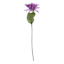 Willow Crossley Purple Dahlia Stem, 26"