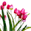 Pink Mini Tulip Floral Spray, 21"