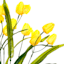 Yellow Mini Tulip Floral Spray, 21"