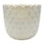 Honeybloom Indoor White Scalloped Ceramic Pot, Large