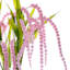 Pink Hanging Berry Bush, 28"