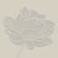 Found & Fable Flower Wall Art, 6"