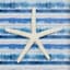 Ty Pennington Blue Framed Star Fish, 8"