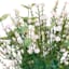 Light Pink Mixed Floral Bundle, 13.5"