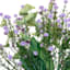 Purple Mixed Floral Bundle, 13.5"