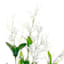 White Freesia Floral Bush, 21"