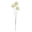 Willow Crossley White Allium Stem, 25"