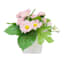 Pink Daisies in White Ceramic Pot, 7"