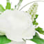 White Peony in Square Ceramic Pot, 7"
