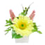 Large Yellow Daisy in White Ceramic Pot, 7"