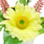 Large Yellow Daisy in White Ceramic Pot, 7"