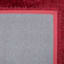 (C24) Plain Red Long Pile Shag, 5x7