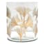 Found & Fable Etched Gingko Leaf Glass Hurricane Candle Holder, 7"