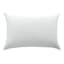 Bamboo Memory Foam Pillow, Standard/Queen