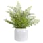 Fern Arrangement in Ceramic Pot, 15"
