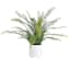 Fern Arrangement in White Ceramic Pot, 19"