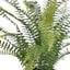 Fern Arrangement in White Ceramic Pot, 19"