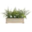 Fern Arrangement in Wood Planter, 11"