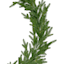 Norway Spruce Garland, 6'