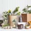 Honeybloom Beige Vintage Outdoor Planter, Medium