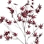 Willow Crossley Dark Red Maple Leaves Spray, 45"