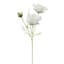 Willow Crossley White Cosmos Floral Spray, 12"