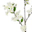 Willow Crossley Cream Cherry Blossom Floral Spray, 44"