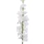 Willow Crossley Yellow Delphinium Floral Stem, 37.5"