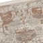 (B718) Honeybloom Joelle Neutral Woven Fringe Area Rug, 5x7