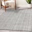 (B730) Tracey Boyd Austin Neutral Abalone Woven Area Rug, 5x7
