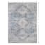 (B822) Whittington Blue Floral Medallion Area Rug, 5x7