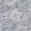 (B822) Whittington Blue Floral Medallion Area Rug, 8x10