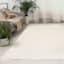 (B818) Honeybloom Newton Ivory Flatweave Area Rug, 5x7