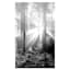 Black & White Forest Canvas Wall Art, 36x60