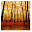Forest Canvas Wall Art, 40"