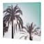 Providence Palm Tree's Canvas Wall Art, 20x16