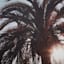 Providence Palm Tree's Canvas Wall Art, 20x16