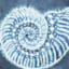 Ty Pennington Navy Blue Seashell Canvas Wall Art, 14"