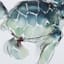 Ty Pennington Glass Framed Turtle Print Wall Art, 11x23
