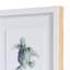 Ty Pennington Glass Framed Turtle Print Wall Art, 11x23