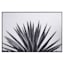 Tracey Boyd Framed Aloe Canvas Wall Art, 36x24