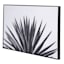 Tracey Boyd Framed Aloe Canvas Wall Art, 36x24